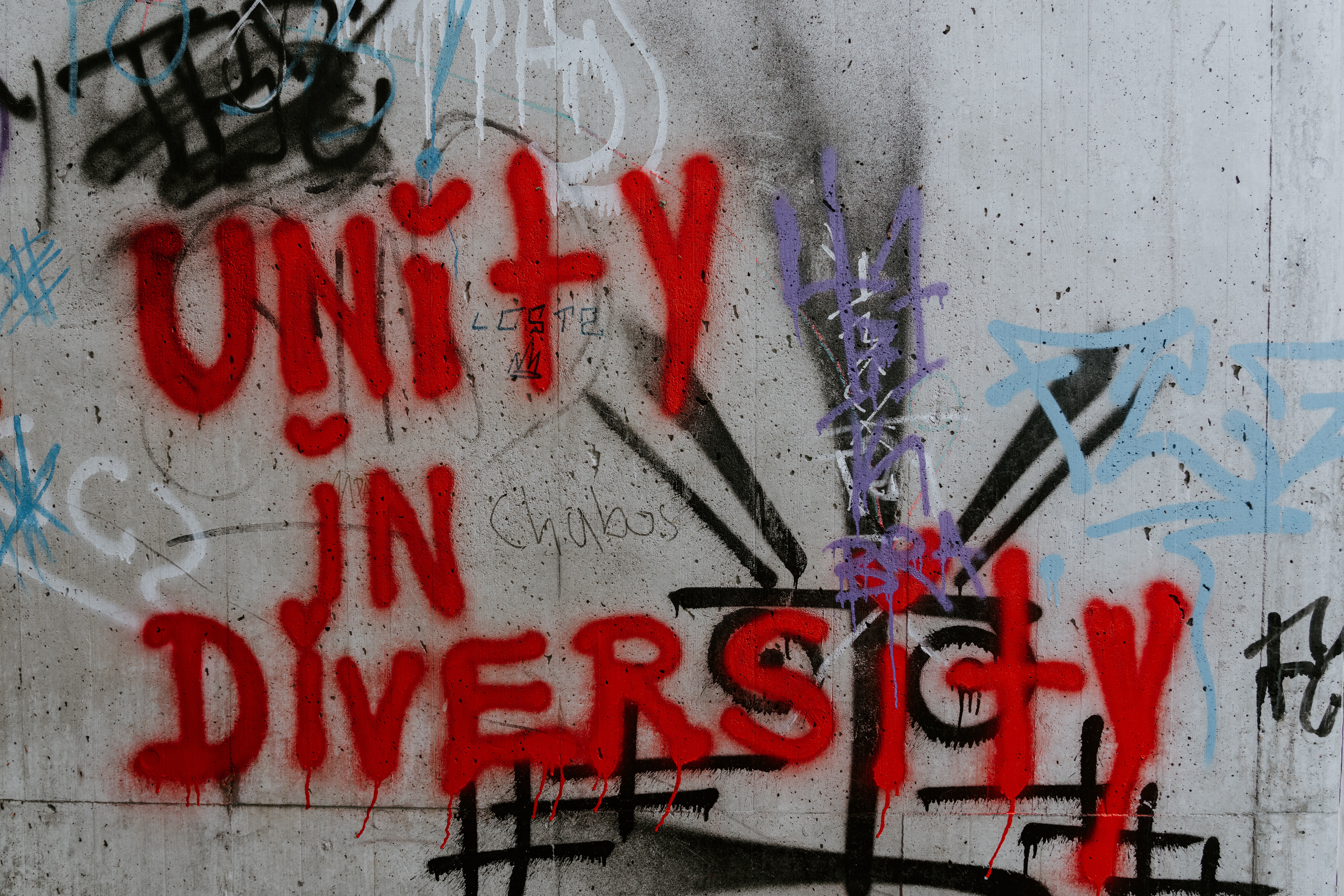 Cover Image for Unity in Diversity undefined